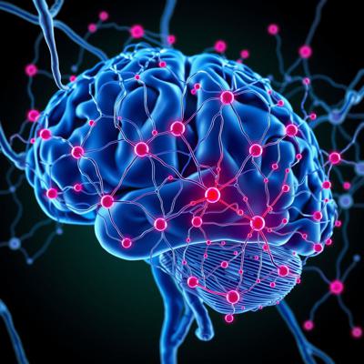 НЕРВНОЙ СИСТЕМЫ